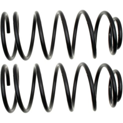 Raybestos Professional Grade Rear Coil Springs